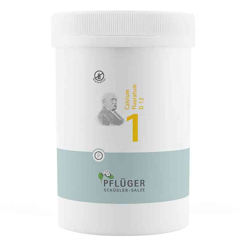 Biochemie Pflüger 1 Calcium fluor.D 12 Tabletten 4000 stk von Homöopathisches Laboratorium Alexander Pflüger Gmb PZN 06318766