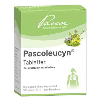 Pascoleucyn Tabletten 100 stk von Pascoe pharmazeutische Präparate GmbH PZN 04043302